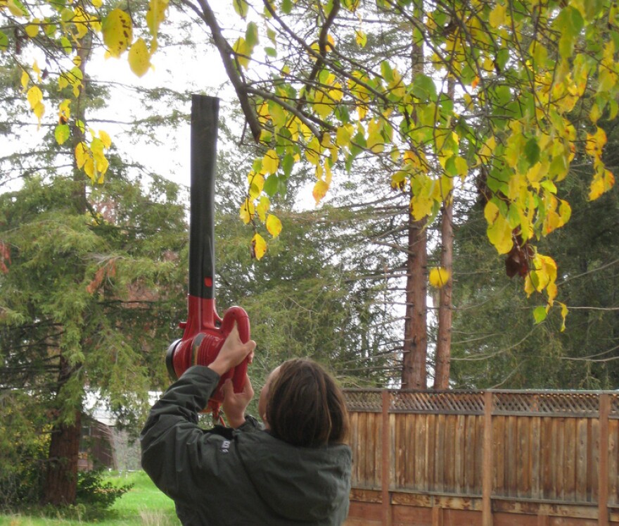 leafblower-Flickr_jgebredw.jpg