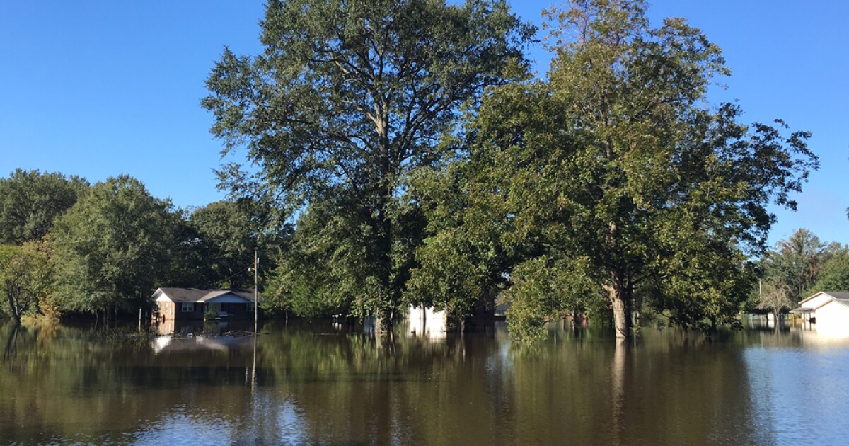 Small Town Of Grifton, NC, Still Swamped After Floods WUNC