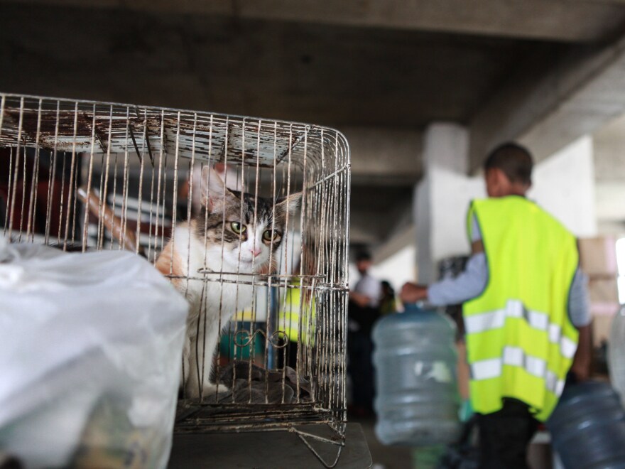 Residents are packing up their belongings (and pets) and leaving voluntarily, although the AP notes that police in riot gear and soldiers with Kalashnikovs were standing nearby as the first of the residents left Tuesday.