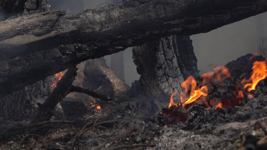 A prescribed burn eats away at stumps, downed trees and other debris on the forest floor as part of a prescribed burn operation overseen by the Medford office of the BLM.