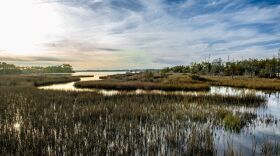 A view of the marsh from the Cedar Point Tideland Trail in Carteret County.