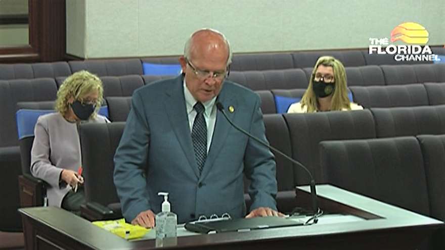 Sen. Dennis Baxley presents a version of his elections bill to the Senate Committee on Government Oversight and Accountability. It passed the committee along party lines. Image: Florida Channel