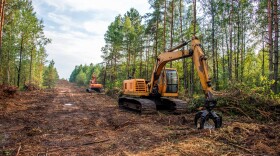 Excavators clear trees for new development
