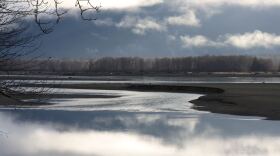 A broad, calm river on a foggy autumn day, with bare trees lining the far shore.
