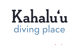 Kahaluʻu, the proper name for a beautiful Windward Oʻahu location. It means diving place. Kaha is “place” and luʻu is “diving.” Be sure to sound the glottal stop, or ʻokina.