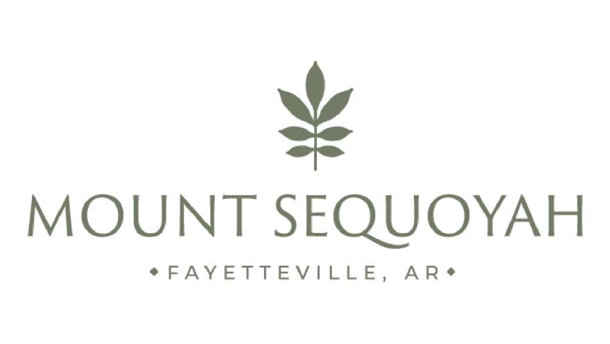 mountsequoyah-grove.png