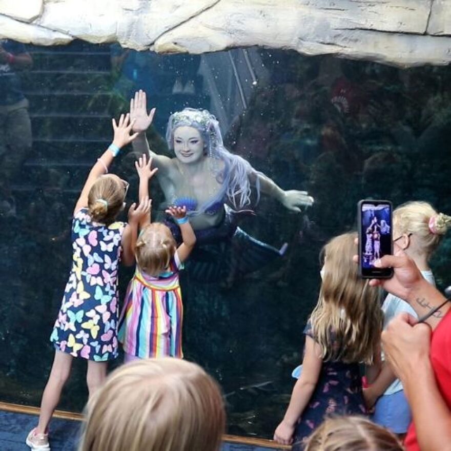 Mermaid Echo gives children a high-five during their performance at Discovery World.