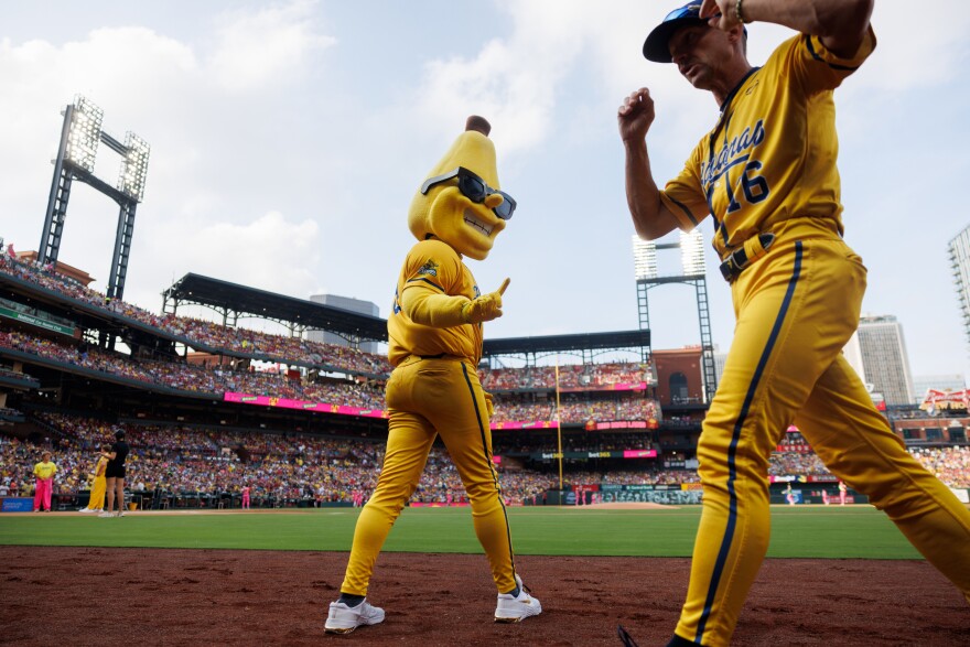 Split, the Savannah Banana mascot, turns around towards the crowd during a baseball game between the Savannah Bananas and the Party Animals at Busch Stadium on Friday, July 18, 2025, in downtown St. Louis.