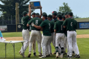 The Frazee Hornets baseball team celebrates June 5, 2025, after winning Section 5A to advance to the state tournament for the first time since 1999.