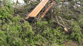 Tree damage following 2019's Memorial Day Tornadoes 