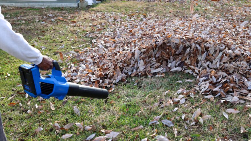 An electric leaf blower is used on a yard.