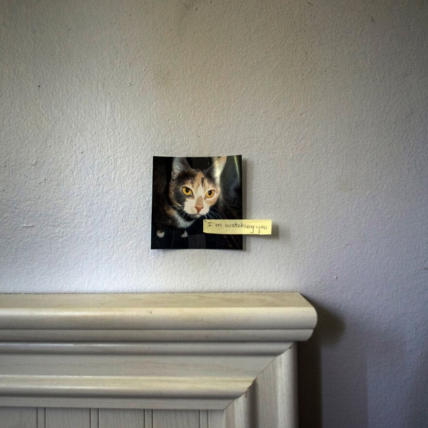 Meghan keeps a photo of her cat, Boo, on the wall in her bedroom. "She would stay in her room and keep to herself," Kathy, Meghan's mother, says. "Sometimes that was a good thing because her depression just sucked the life out of you."
