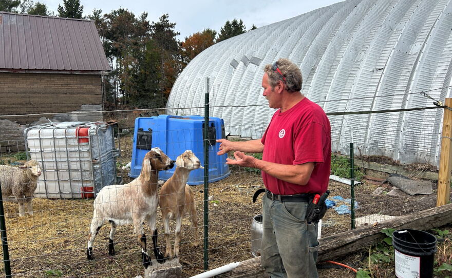 Jonathan Miller explains what he's done around his farm to keep his livestock safe. Without high woven fences, he said wolves would go after his calves, goats and sheep.