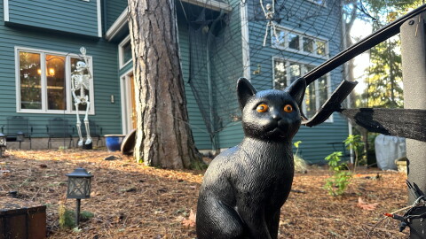 Halloween decorations in front of a Eugene house, October 2026.