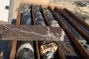 Drill core from 2022 exploration at West Desert. Sphalerite, shown here, is known for containing zinc, but at West Desert, it also contains high concentrations of indium.