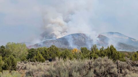 The 310 fire has grown to 330 acres in Parachute, forcing evacuations for parts of the town.