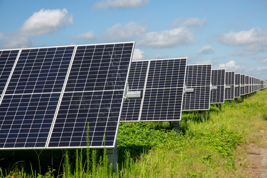 Solar plant grids lined up next to each other 
