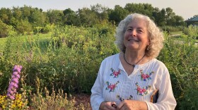 Sami Aaron created the nonprofit group The Resilient Activist to help environmentalists manage climate anxiety and grief.