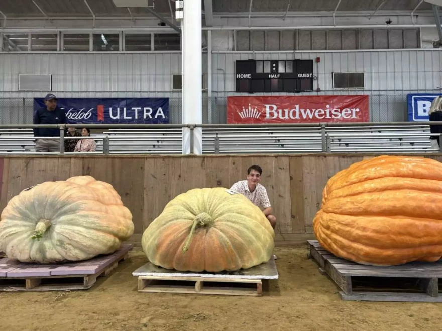 Henry Swenson poses with his pumpkin at the Topsfield Fair.