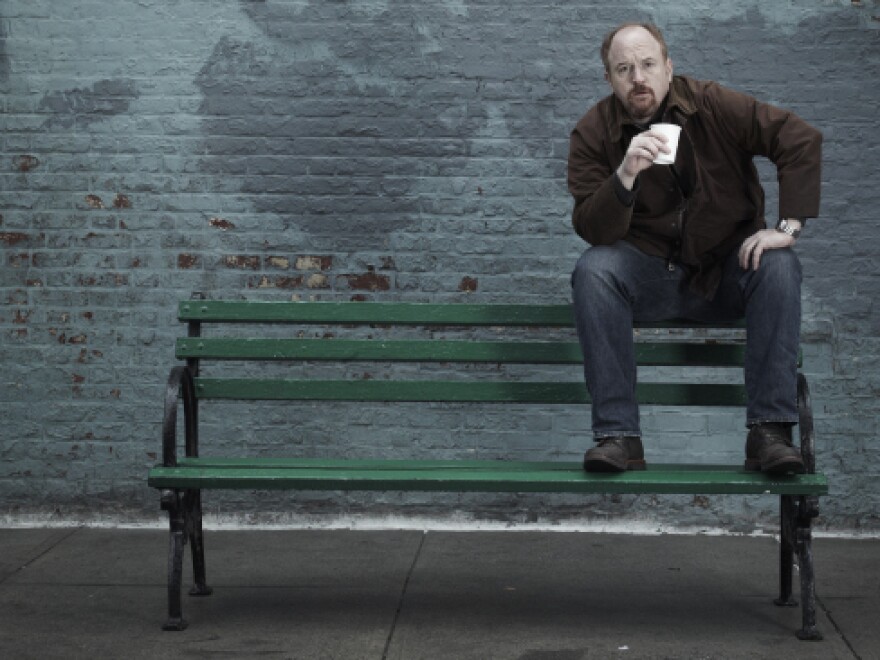 Louis C.K., born Louis Szekely, is a writer, actor, producer, director and star of the FX series <em>Louie</em>.