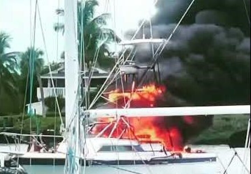 It happened at the Manatee Pocket near Pirates Cove.