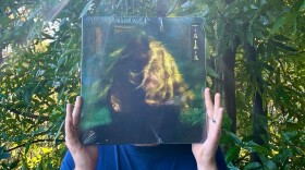 A man holds an album in front of his face while standing in front of a tree with sunbeams shining down.