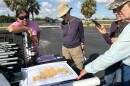 Houston R. Cypress (left), co-founder of the Love the Everglades Movement, and National Water Dance founder Dale Andree (middle) review a map of Miccosukee land with walking tour participants on Jan. 24, 2026. 