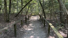 A trail at First Landing State Park in Virginia Beach in July 2025, situated along a sandy ridge formed thousands of years ago.