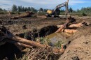 A $1.5 million habitat restoration project spearheaded by the MidCoast Watershed Council and the U.S. Fish and Wildlife Service on the Siletz Bay National Wildlife Refuge receives final touches during the construction phase as crews add large wood debris to serve as habitat for fish and wildlife.