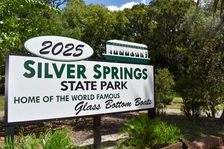 Known for its famous glass-bottom boat tours, Silver Springs State Park would be part of a new national park. “When I was running for Congress and I was visiting the springs in my district I said, ‘these are as amazing as anything I’ve seen anywhere in the country,’” Fine said. (Emma Tufano/WUFT News)
