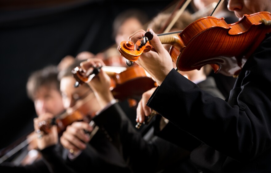 Symphony orchestra first violin section performing.