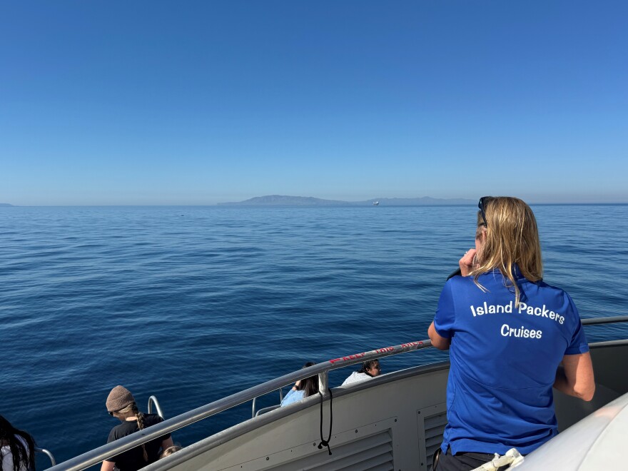 Island Packers are one of the companies who operate whale watching cruises off the South Coast