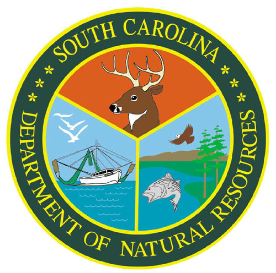 Department of Natural Resources logo