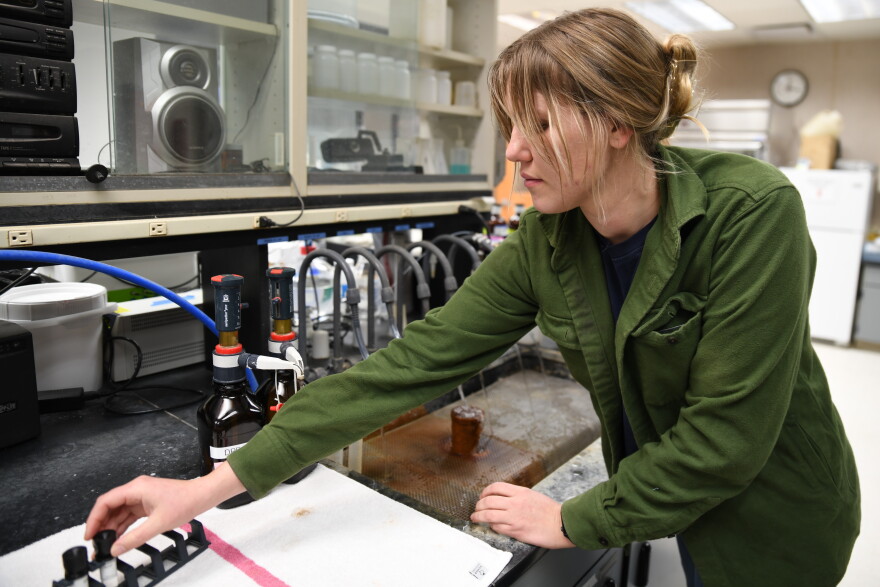  Water utility technician Rikki Stropich takes water samples in the Ann Arbor water treatment plant's lab.