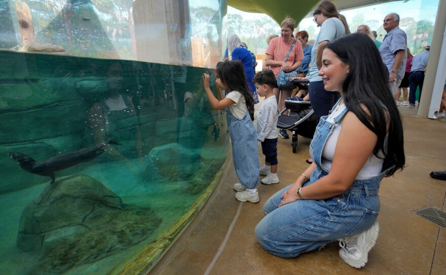 Woman with overalls and long dark hakr kneeling next to a tank with otters inside and two young children in the background