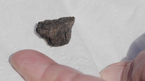 December Harris displays a small black rock she suspects is a meteorite found by her cousin and roommate, Ambra Sinclair, on their driveway in Medina, Ohio, March 17, 2026, during an interview at her home Thursday, March 19. 