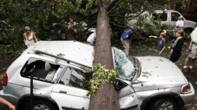A car is crushed by a fallen tree in Brooklyn's Park Slope neighborhood on Thursday after a storm swept through New York City.