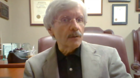 Dr. Richard Feldman speaks during an episode of Indiana Newsdesk in March 2021.