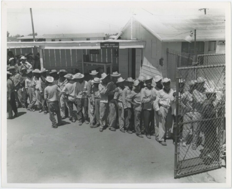 Bracero workers from Mexico line up for health screening required before being sent off to work across the United States.