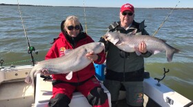 Ben and Kathy Hobson with a couple of big blue catfish landed recently with David Hanson.