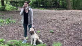 Video of Amy Cooper calling the police on a man went viral on social media last year. The man says he asked Cooper to put her dog on a leash in New York's Central Park.