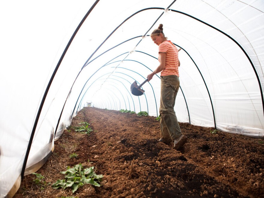 Katherine Stewart spreads compost as the farm prepares to start a new crop of greens.
