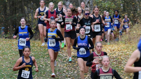 Runners compete at the ASAA cross-country running state championships in Anchorage on Oct. 3, 2026.
