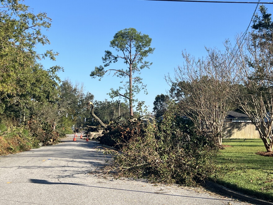 Piles of branches and cut tree limbs line a street in the East Hill neighborhood of Pensacola, following the storm. Traffic cones block traffic.