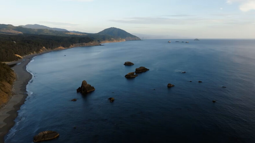 Coastline near Port Orford. 