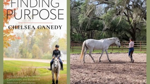 Book cover of Finding Purpose featuring Chelsea Canedy riding a white horse across the grass; Chelsea teaching a white horse within a fenced area