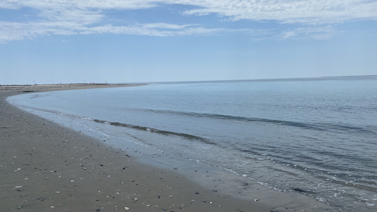 Coastal Virginia communities push back against proposed offshore seabed mining