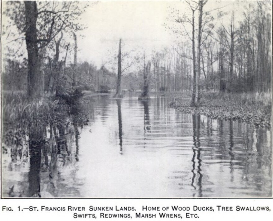 Tales of the St. Francis River