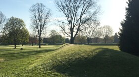 rolling mounds covered in grass with trees in background