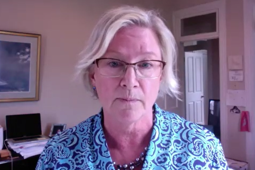 Bloomington attorney Kitty Liell speaks on Zoom.
